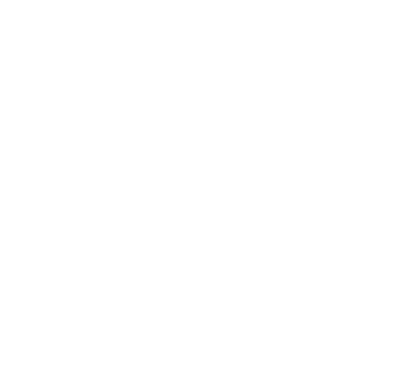 BLOOD SHOT DOWN